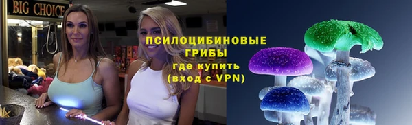 индика Аркадак