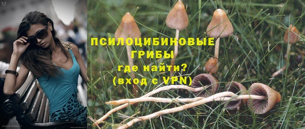 spice Богородицк