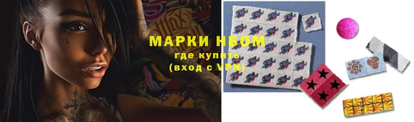 spice Богородицк
