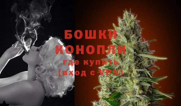 spice Богородицк