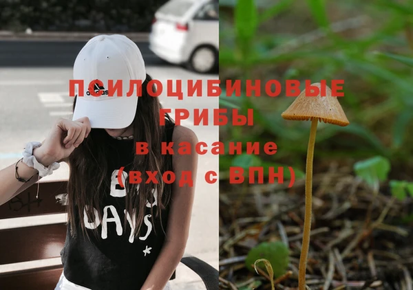 амф Белоозёрский